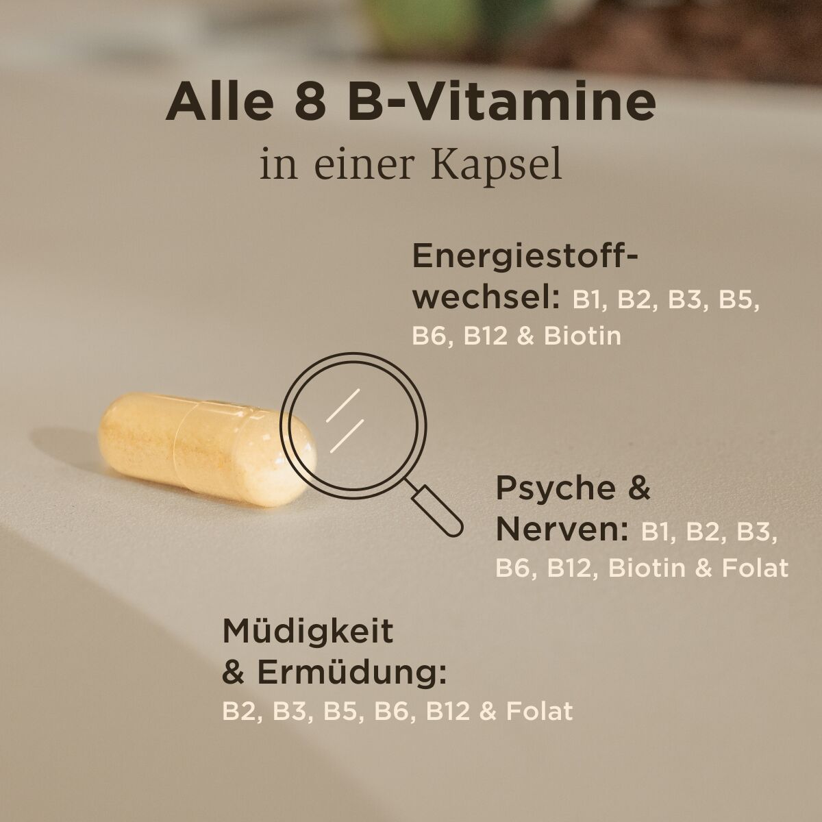 Solgar Grafik mit allen 8 B-Vitaminen
