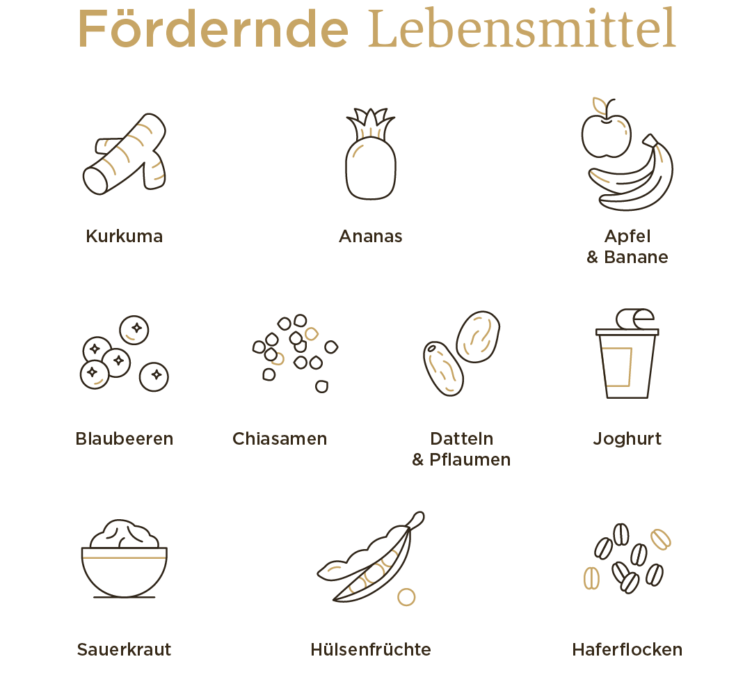 Grafik von Solgar mit verdauungsfördernden Lebensmitteln