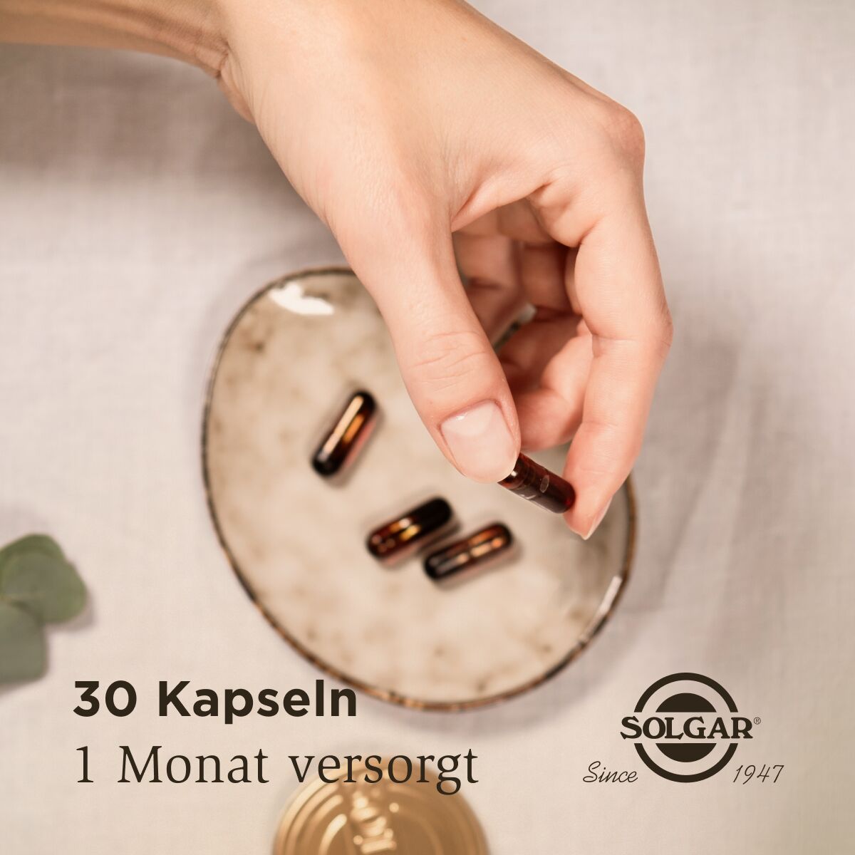 Solgar Curcumin Monatspackung Versorgung