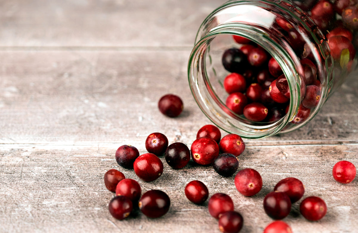 Cranberry rasa kasparaviciene unsplash Solgar