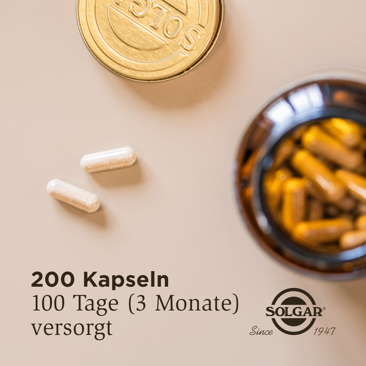 Flohsamenschalen 500mg