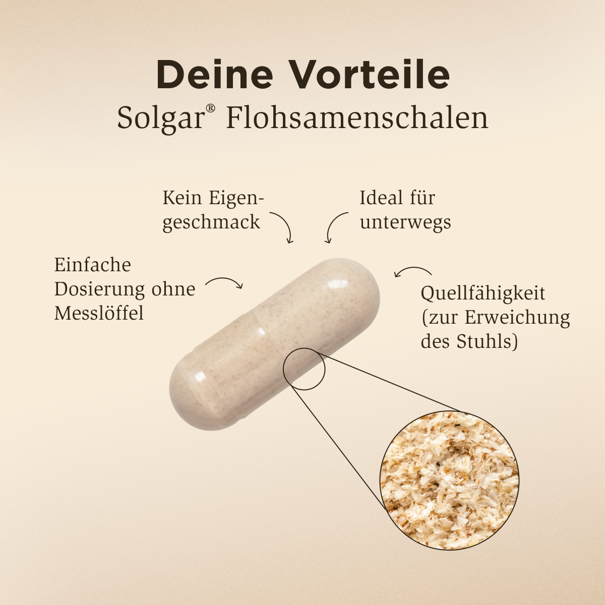 Flohsamenschalen 500mg