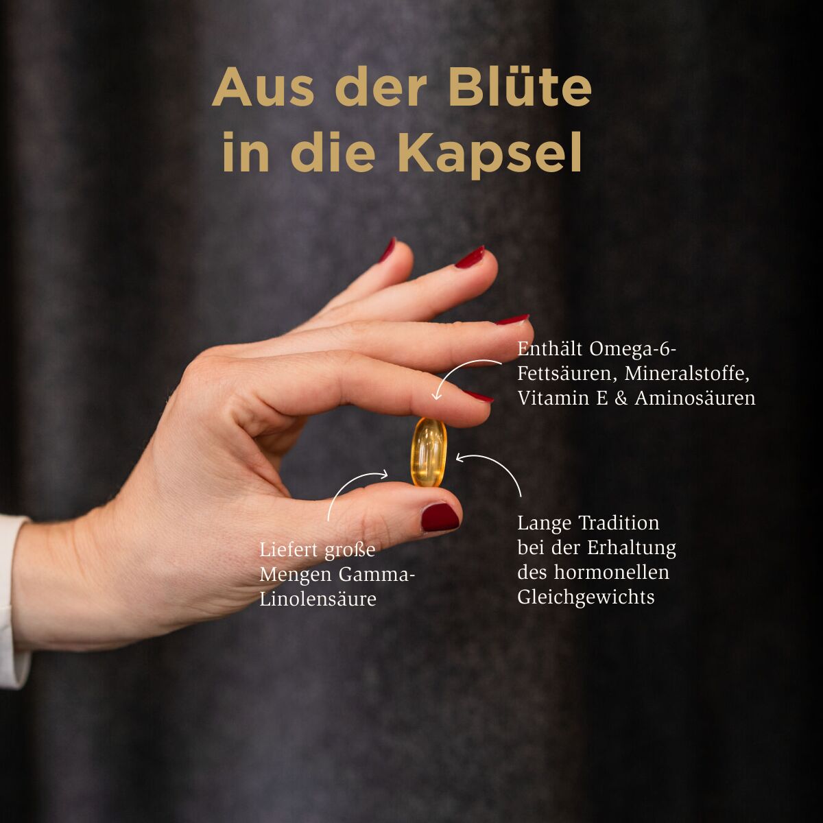 Solgar Nachtkerzenöl Grafik zu Besonderheiten