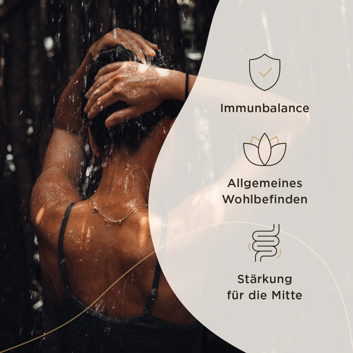 Mikrobiotischer Kulturen-Komplex